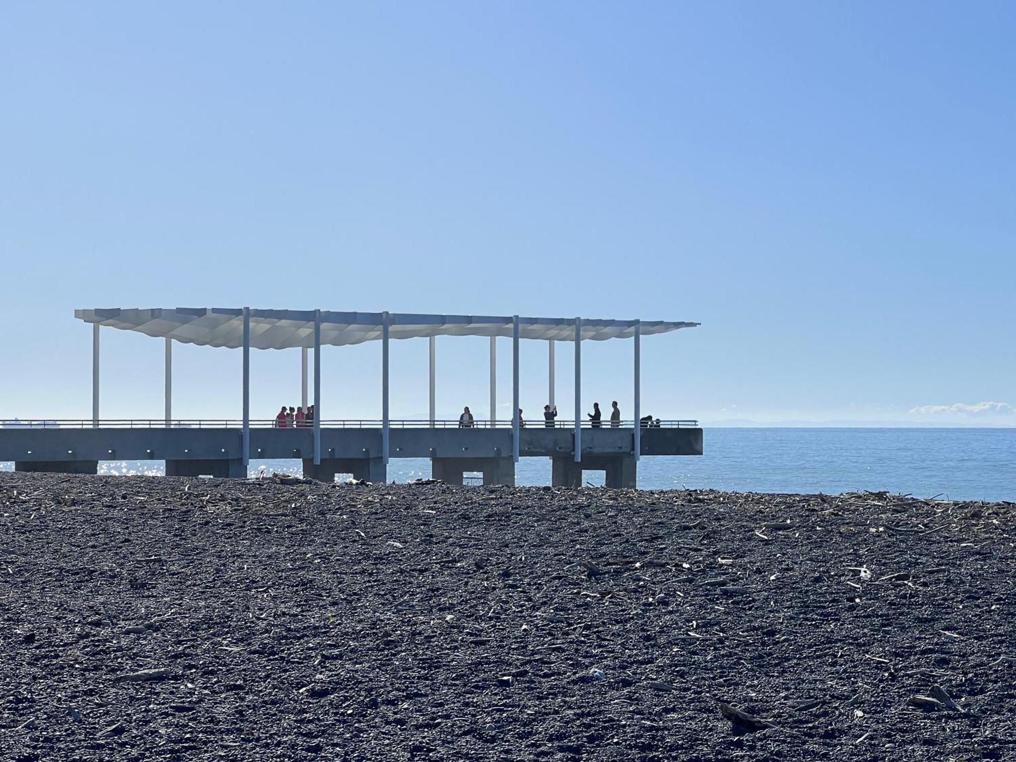 Beach Front Studio Napier Exterior photo